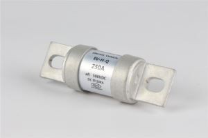 EV charger fuse