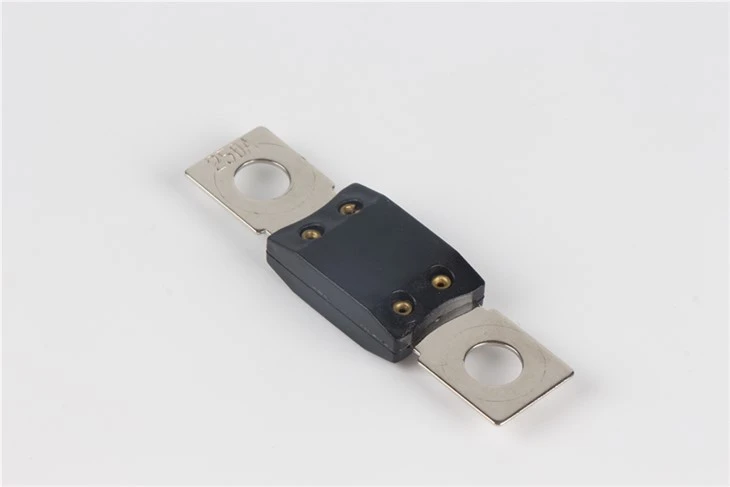 ANL Fuse And Fuse Holder